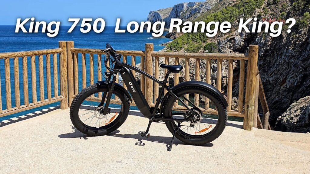 DYU King 750 Review - BIG Range 26" Fat Wheel Cruiser!